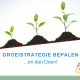 Groeistrategie