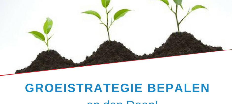 Groeistrategie